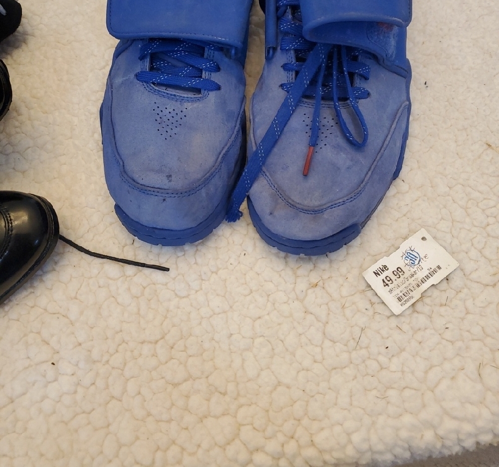 Nike Royal Blue Sneakers - Picture 2 of 4